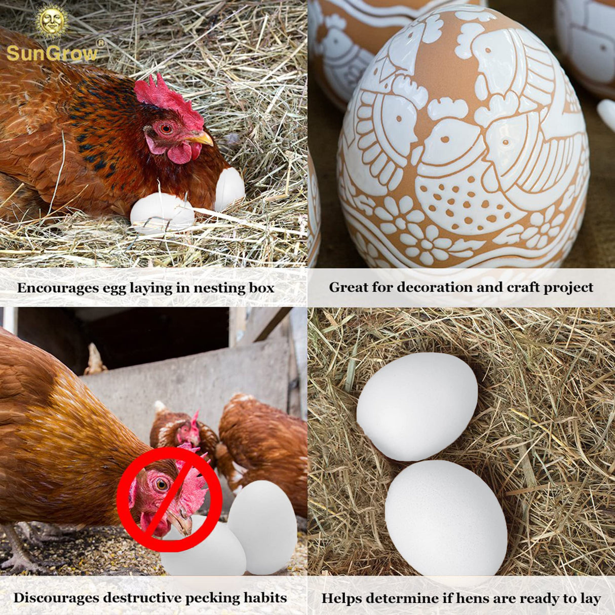 SunGrow Fake Wooden Eggs to Train Birds from Laying in The Nesting Boxes & to Stop from Eating Own Eggs, White Color, 5 Pack Suitable for Chicken and Duck SunGrow