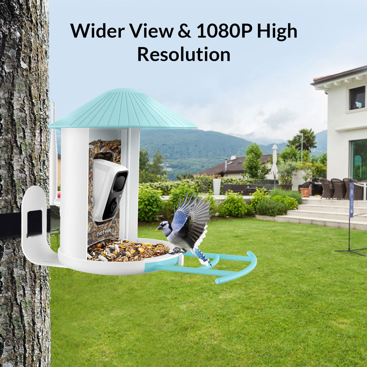 NETVUE Birdfy Smart Bird Feeder with Camera - Auto Capture & Identify 6000+ Species, Free AI Forever, Ideal Gift for Birdwatching and Bird Lovers NETVUE