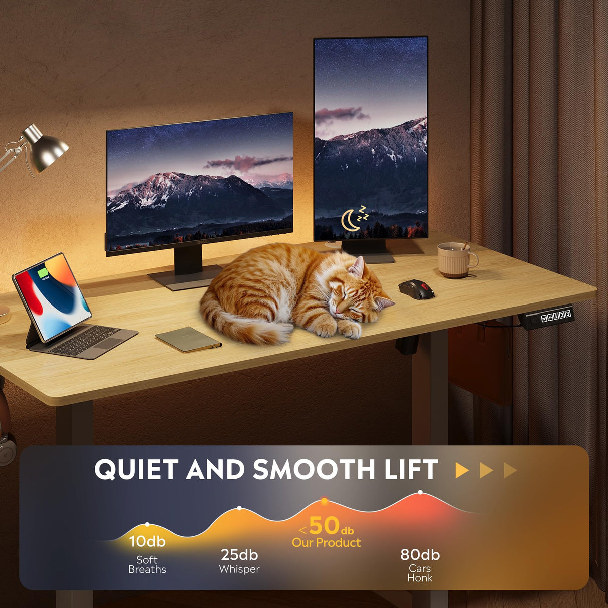 DEVAISE 48 X 24 Inches Electric Standing Desk,Height Adjustable Stand up Desk for Home Office, Ergonomic Sit to Stand Desk with Phone Holder,Maple DEVAISE