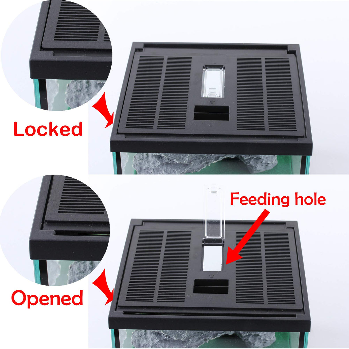 crapelles Glass Tank Spider Box Kit for Tarantula Feeder Insects Beetle Amphibians Terrarium Small pet,Washable mat,Resin Rock Shape Hideout, Artificial Flower crapelles