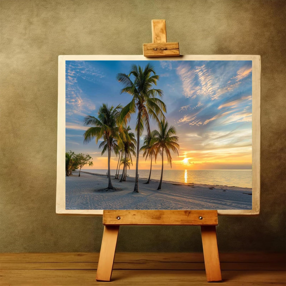 XTXGERL Paint by Numbers Kit for Adults Beginner Sunrise by Ocean Beach Florida Keys DIY Painting by Numbers on Canvas Acrylic Oil Painting for Home Decor Gifts 16"x20" XTXGERL