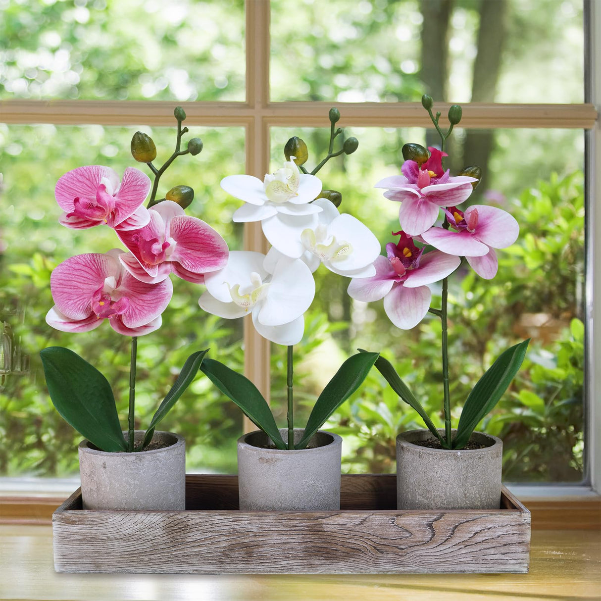Winlyn Set of 3 Small Artificial Orchid Potted Plants Arrangement with Rustic Wood Planter Box Real Touch Faux Phalaenopsis Moth Orchid Flowers in Pots for Home Office Desk Shelf Table Centerpiece Winlyn
