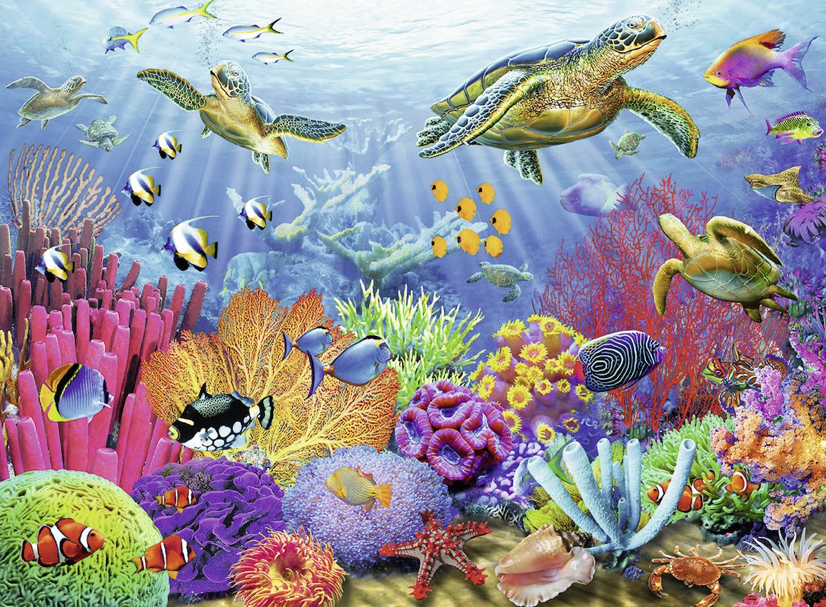Ravensburger Tropical Waters 500 Piece Jigsaw Puzzle - Newer Packaging Available | Precision-Cut | Glare Free Imagery Ravensburger