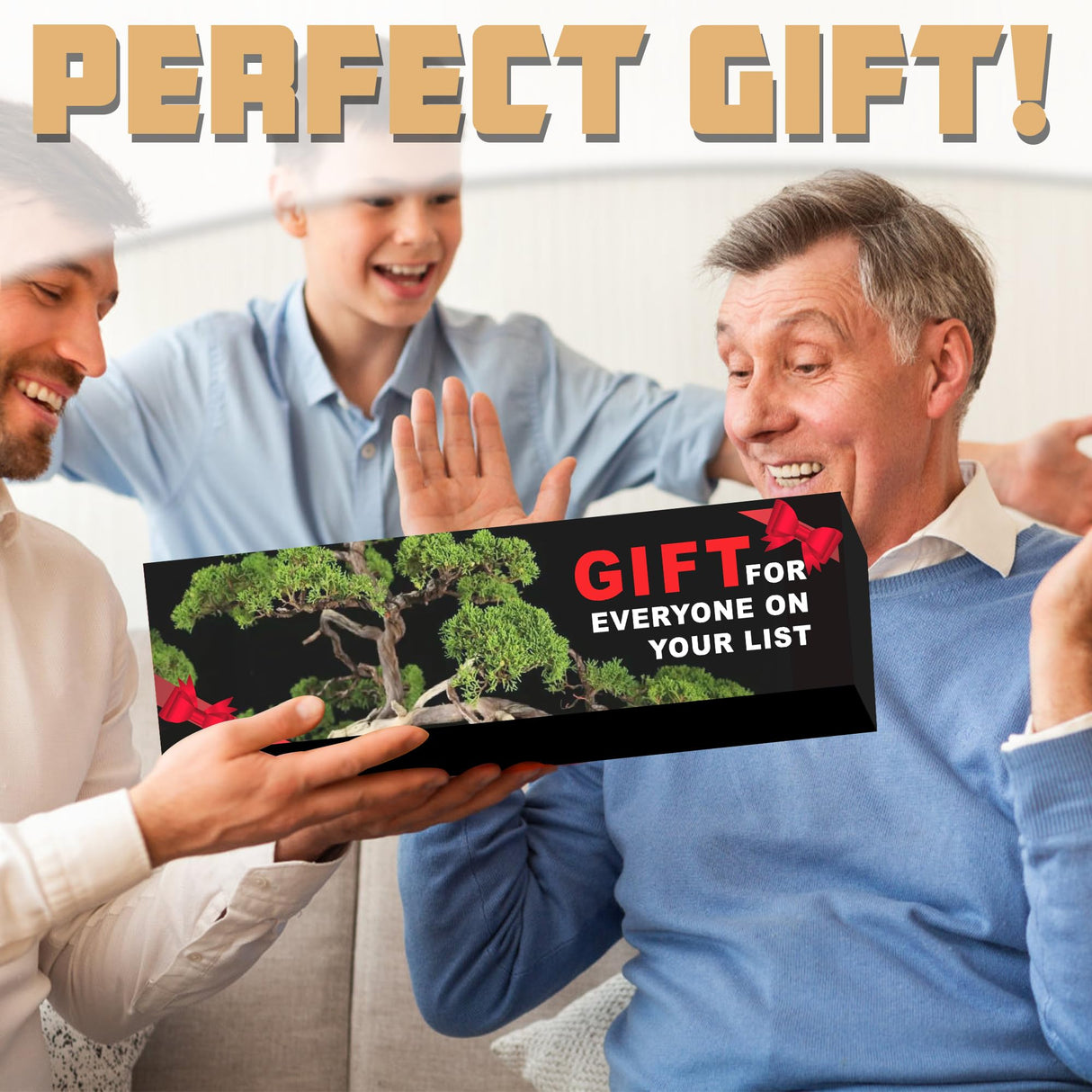 Sproutix Indoor Bonsai Garden Starter Kit, 5 Seeds Growing into Red Maple, Wisteria, Black Pine, Judas Tree, Acacia, Including Complete Gardening Planters & A Wooden Box, Christmas Gifts for Women SPROUTIX