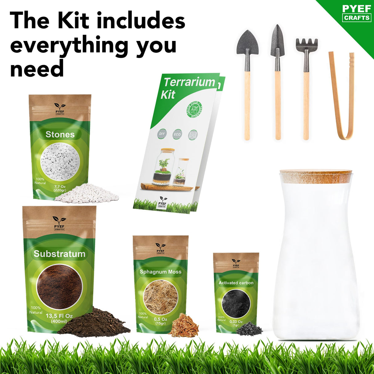 PYEF CRAFTS DIY Terrarium Kit for Adults – Build Your Own Self‑Sustaining Closed Ecosystem – 34 fl oz (1‑Liter) Glass Terrarium – Succulents, Air Plants, Fittonia, Fern – Plants Not Included PYEF CRAFTS