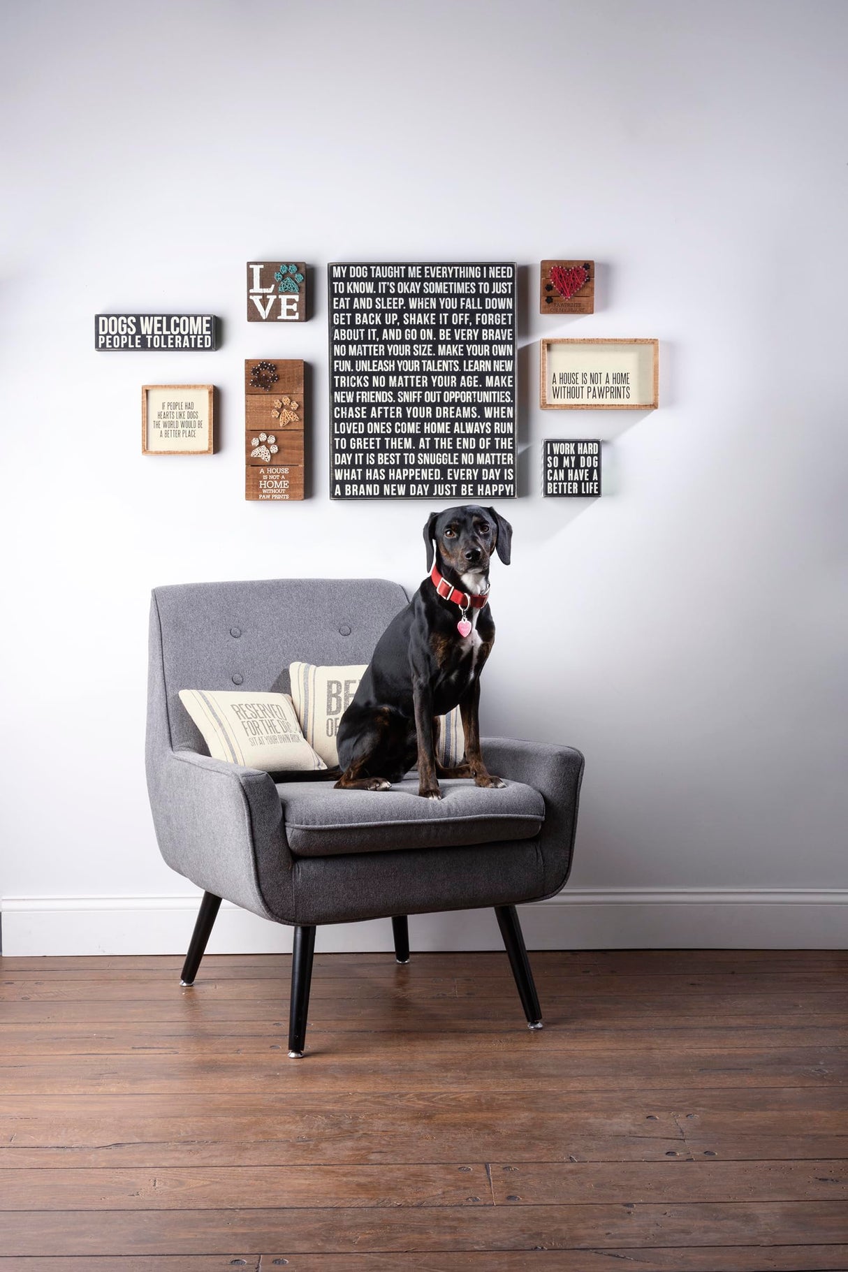 Primitives by Kathy Rustic Wooden Decor Sign - 'Dogs Welcome, People Tolerated' - Office/Farmhouse Decor, Dog Lovers Gift, 5" Primitives by Kathy