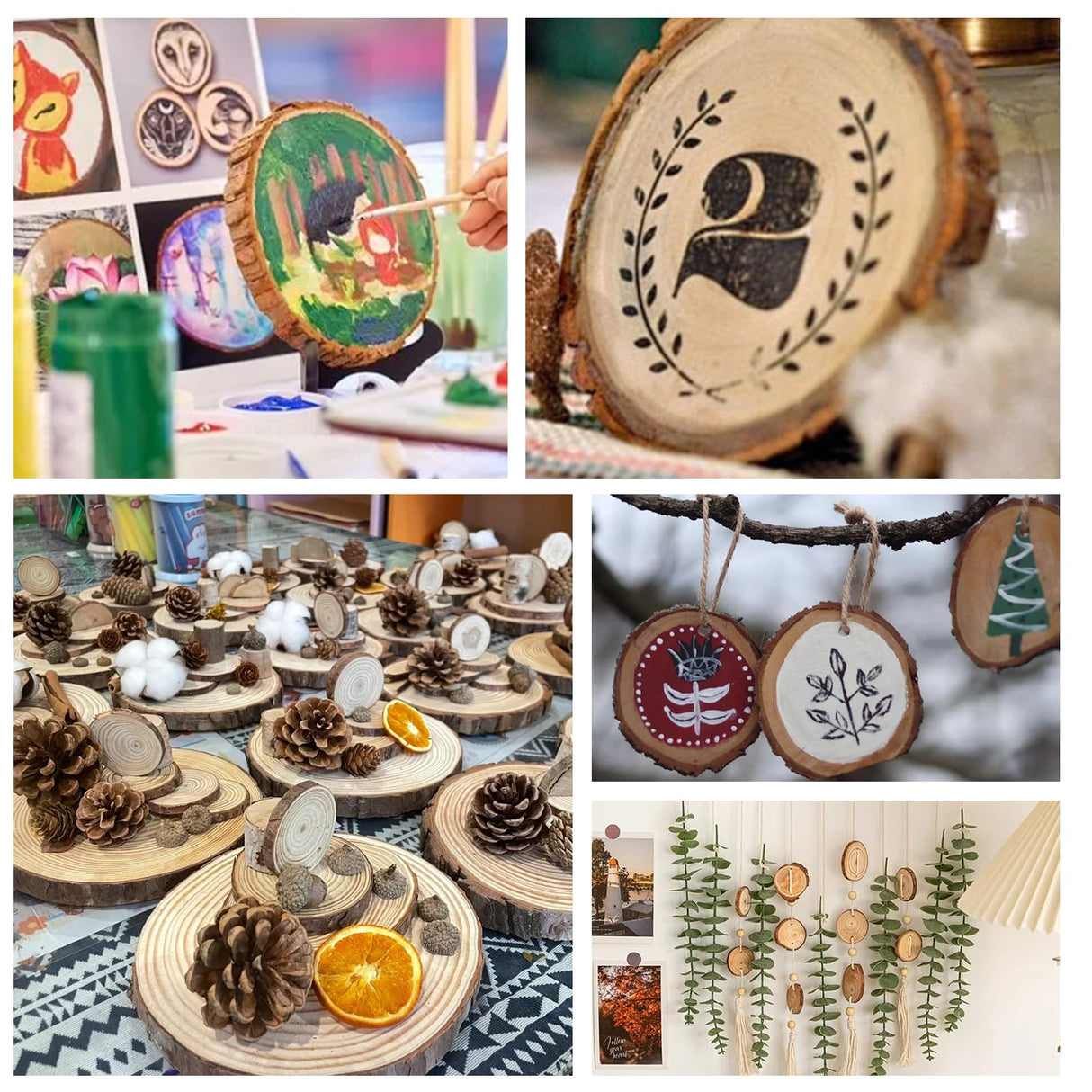 100 Pack Nature Wood Slices for Crafts,2.4-2.8In Unfinished Natural Wood Rounds.Wood Circles Predrilled with Hole and 20m Rope for Wooden Craft Supplies,Painting,Christmas Ornaments,DIY Gifts VKIZA