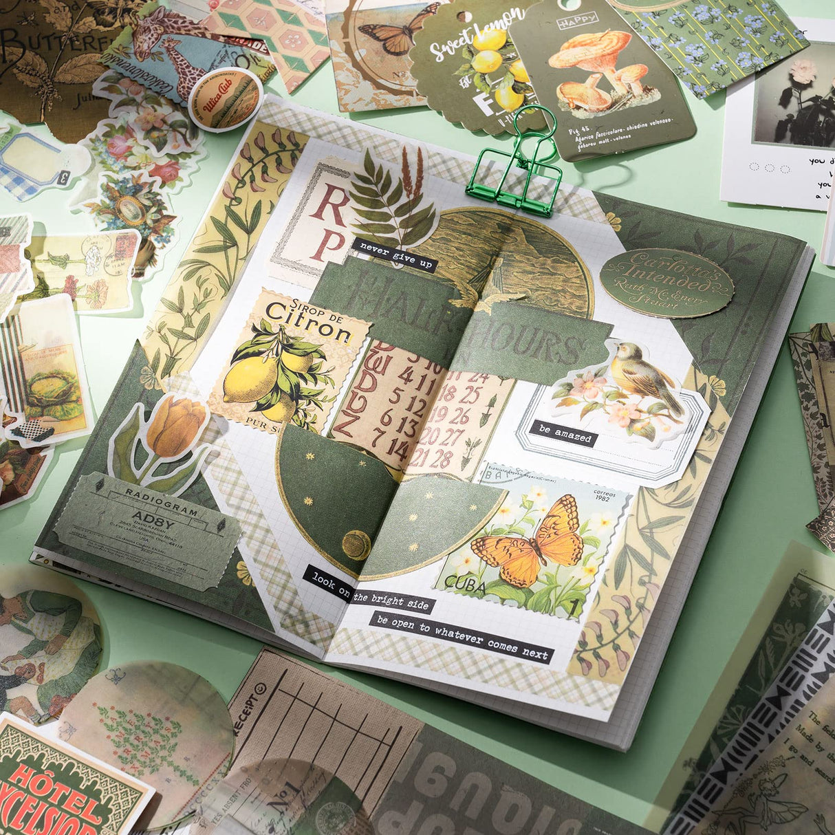 YagCu Aesthetic Scrapbook Kit, Junk Journal Scrapbooking Supplies, Vintage Journaling Set Bullet Journals Material, Large Collection for Teen Girls Women Adults Beginners, Arts Craft Ephemera YagCu