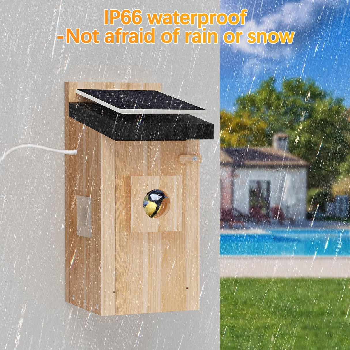 Smart Bird House with 5MP HD Camera, Solar-Powered & Night Vision - IP66 Weatherproof, App-Controlled Bird Watching for Bird Enthusiasts EYRIZON