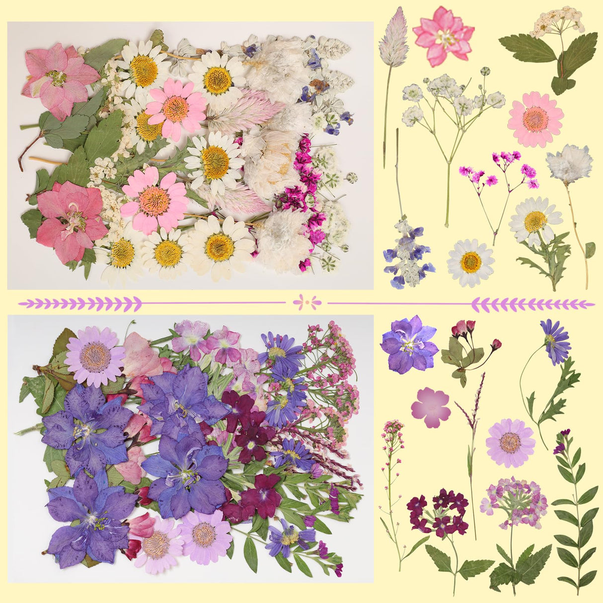 179Pcs Dried Pressed Flowers Real Pressed Flowers Natural Dry Leaves Bulk Mixed Colorful Herbs Kit with Tweezers for Scrapbooking DIY Candle Jewelry Crafts Making (Delicate Color) Gvhntk