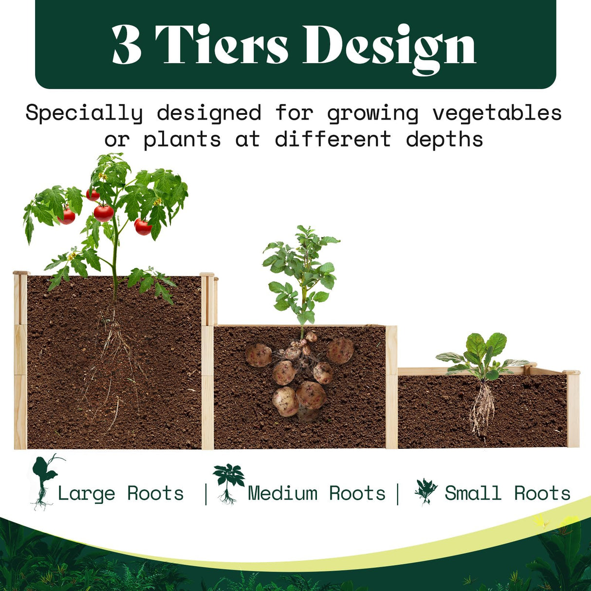 AMERLIFE 3-Tier Raised Garden Bed for Outdoor Gardening, Fir Wood Planter Box with Dividers, Tool-Free Assembly, Garden Box Perfect for Vegetables, Herbs, and Flowers AMERLIFE