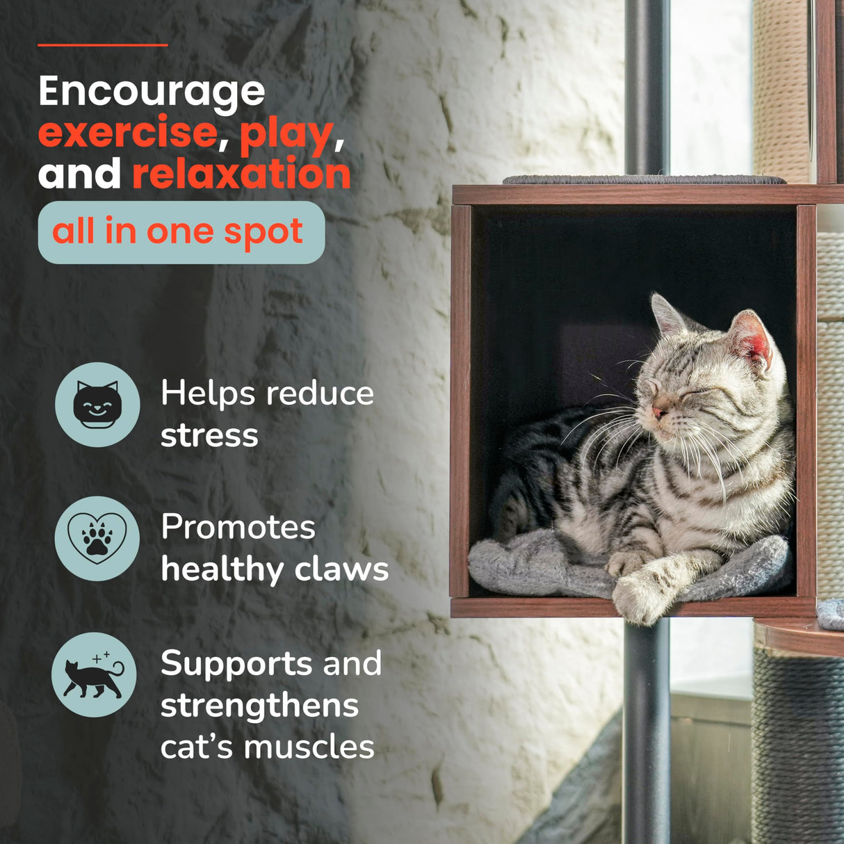 KONELCARE Modern Cat Tree-Sleek Wooden Furniture-Style Tower(60") Blends with Home Decor, Tallest Scratching Post(48"), 3 Cat Condos for Multi-Cat Harmony & Comfort KONELCARE