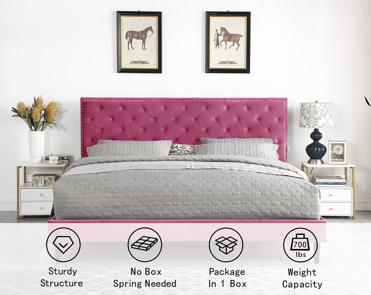 King Upholstered Platform Bed Frame with 48" Tall Adjustable Headboard - Button Tufted Suede Velour Bed- Wood Slat Support with Storage Space - No Box Spring Needed - Pink - OLIVER & SMITH - Princeton OLIVER & SMITH SINCE 1921