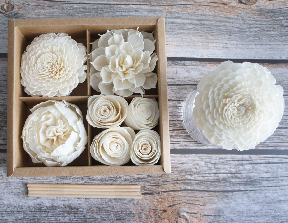 Mixed White Sola Flower with Cotton Wick Diffuser Set Replacement for Home Fragrance by Plawanature plawanature