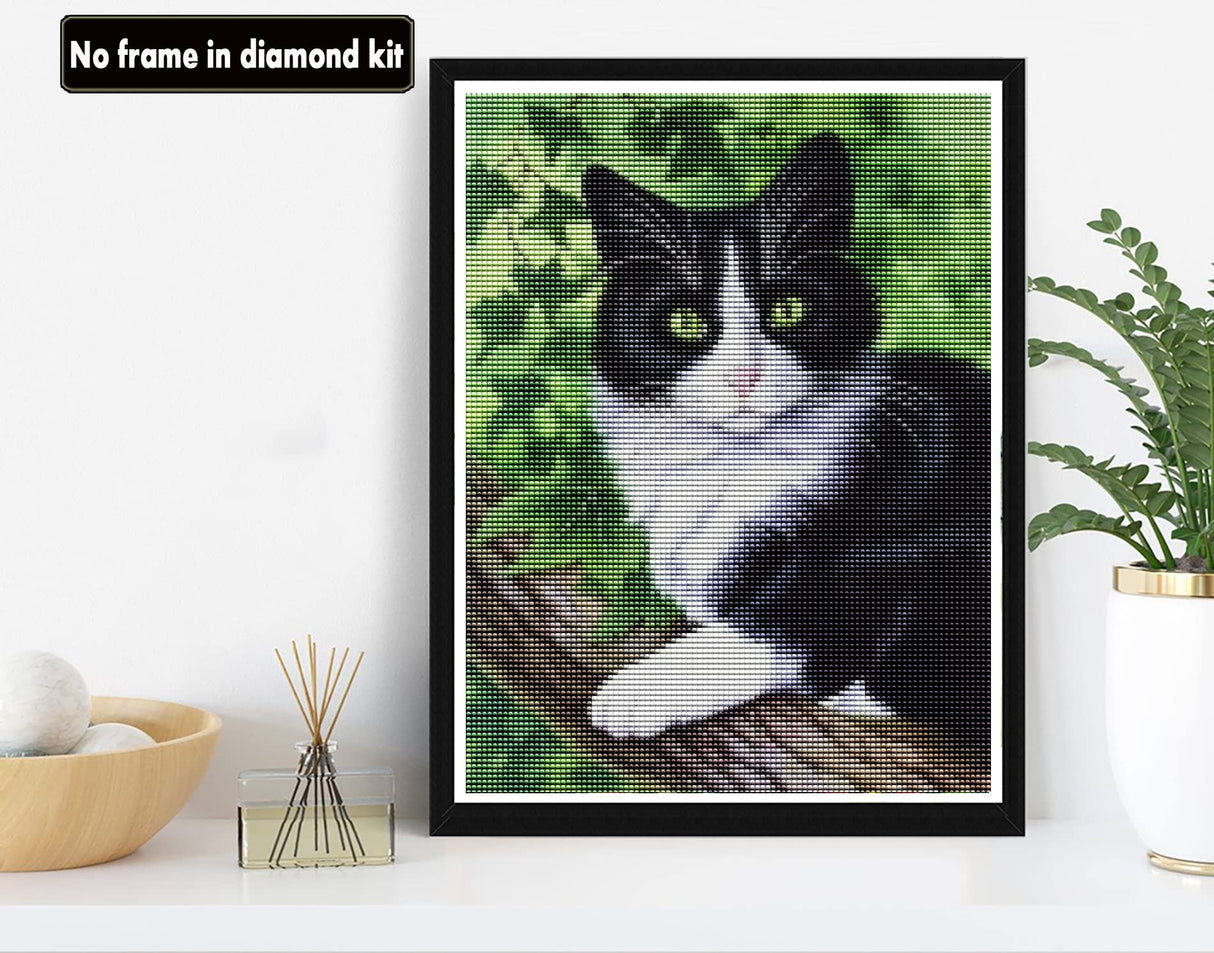 VAIIEYO 5D Diamond Art Kits for Adults Cat, Diamond Painting Animal, Paint by Numbers Full Drill Round Rhinestone Craft Canvas for Home Wall Decor Gift 12x16 inch VAIIEYO