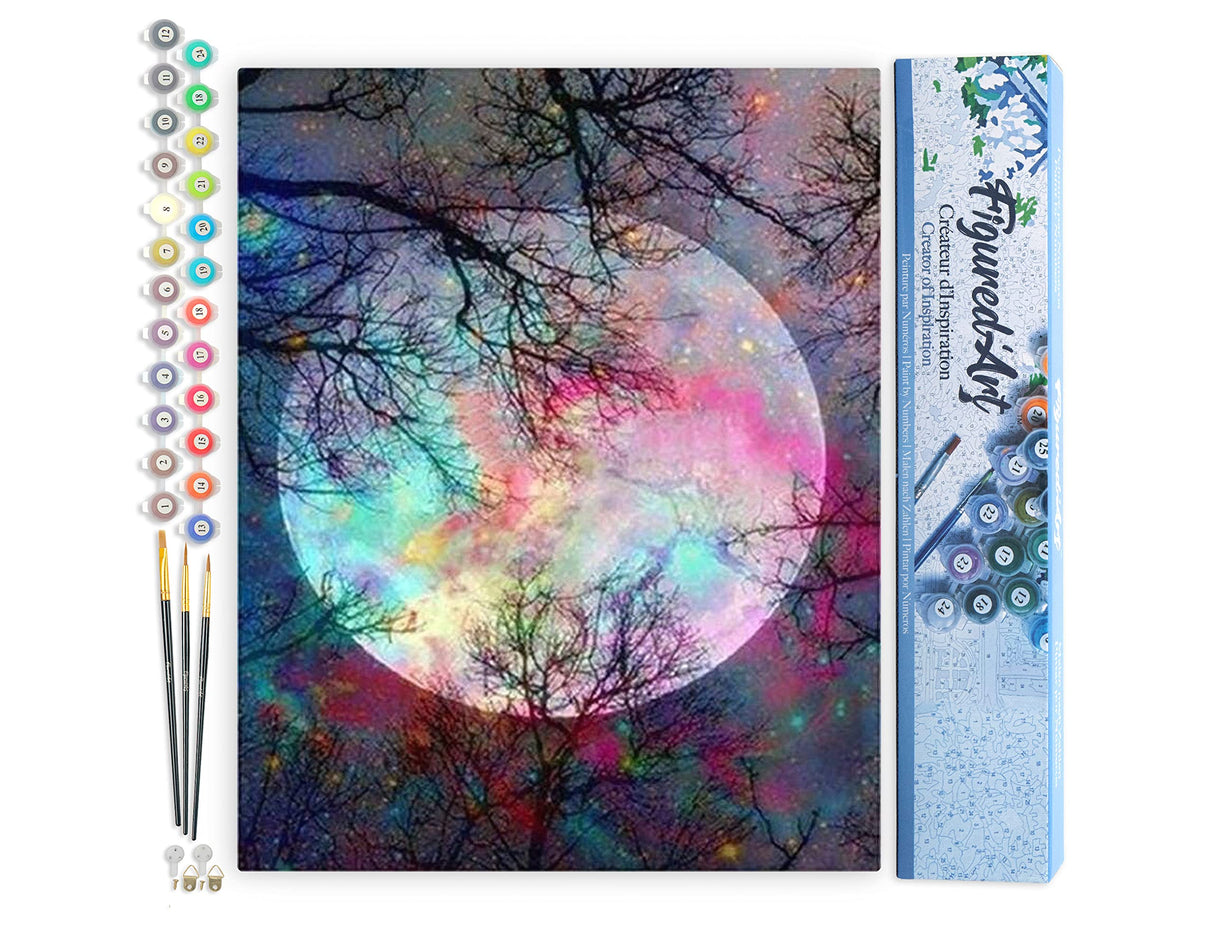 Figured'Art Paint by Numbers Kit for Adults Full Moon with Colourful Reflections 16"x20" - Craft Art Painting DIY Kit Rolled Canvas Without Frame Figured'Art