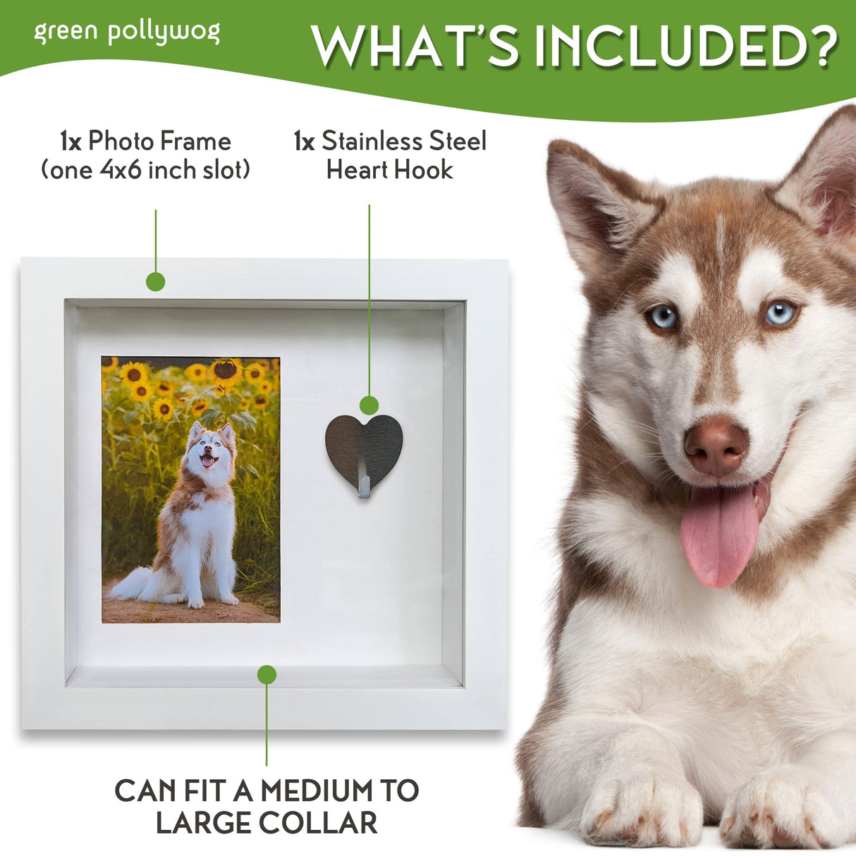 Green Pollywog Pet Memorial Shadowbox with Photo, Tag & Collar Display | White Frame with 4” x 6” Picture Opening | 10” x 10” x 2.5” Keepsake Box Green Pollywog