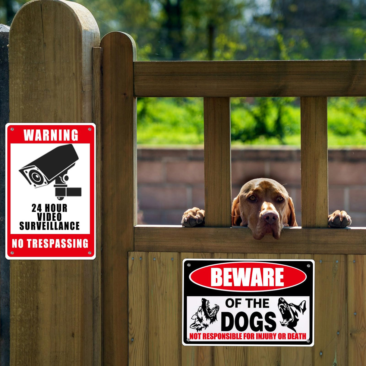 ToBeAce 10 Pcs Sublimation Metal Sign Blanks 7x10 Inch, Aluminum Sublimation Yard Sign Blanks, Sublimation Photo Blanks with Holes Screws DIY Sign Photo for Ourdoor Indoor Garden Yard (Thick 0.45mm) ToBeAce