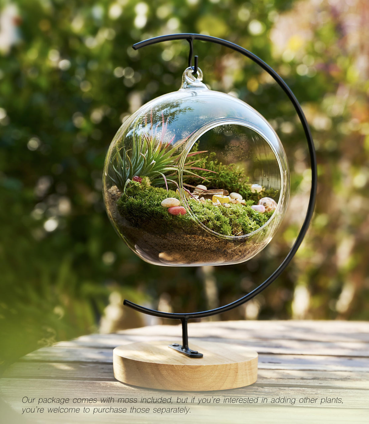 15-Piece Terrarium Kit with Live Moss – DIY Glass Globe Set with Tools, Soil, Stones & Spray Bottle – Indoor Mini Garden Gift for Plant Lovers, Home Decor & Zen Craft LUCKYRUNES