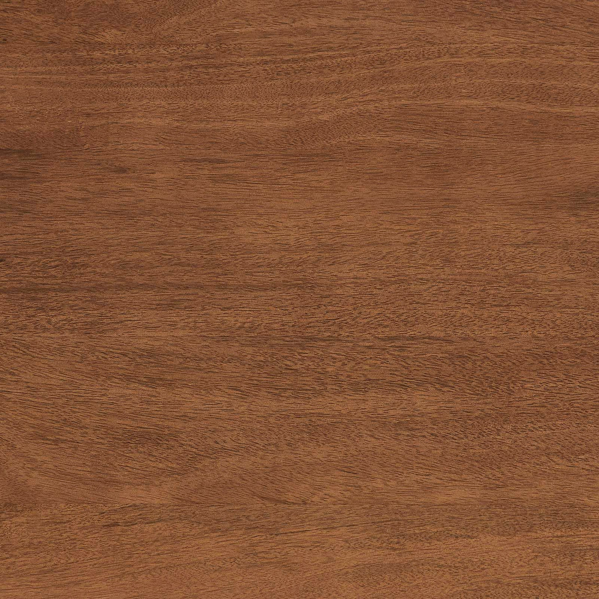 Modway Amistad 72" Solid Wood Modern Farmhouse Rectangular Dining Table in Walnut Modway