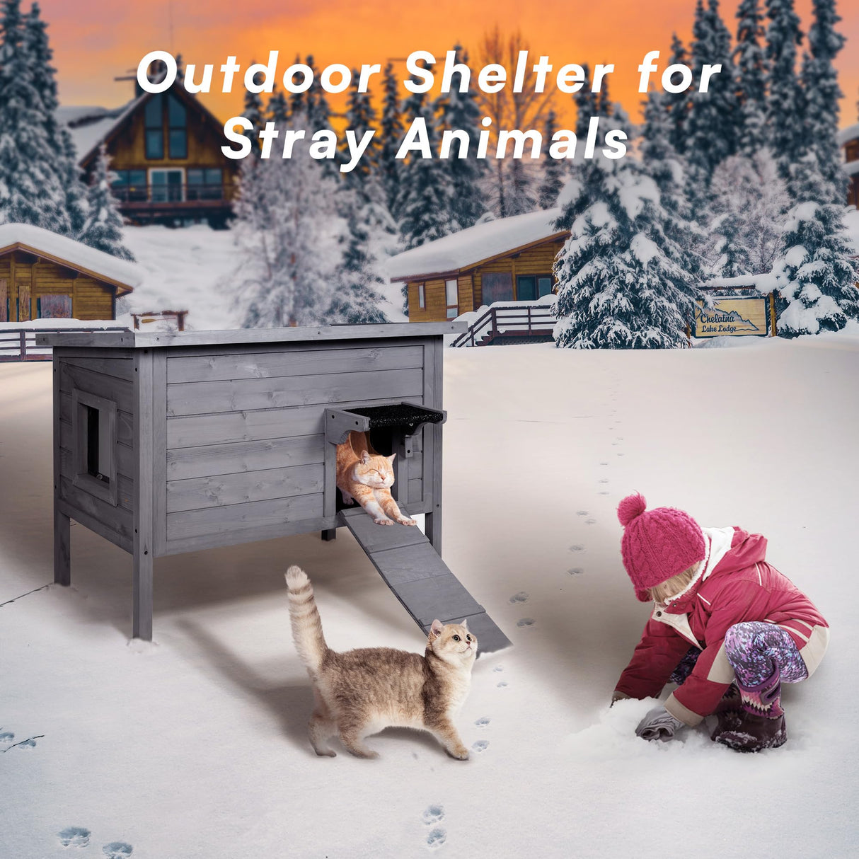 BRIOPAWS Outdoor-Cat-House-Insulated | Feral-Cat-Shelter for Summer | Weatherproof | Large Wooden Pet House for Multiple Cats | Foldable Ladder | Acrylic Side Window | Grey BRIOPAWS