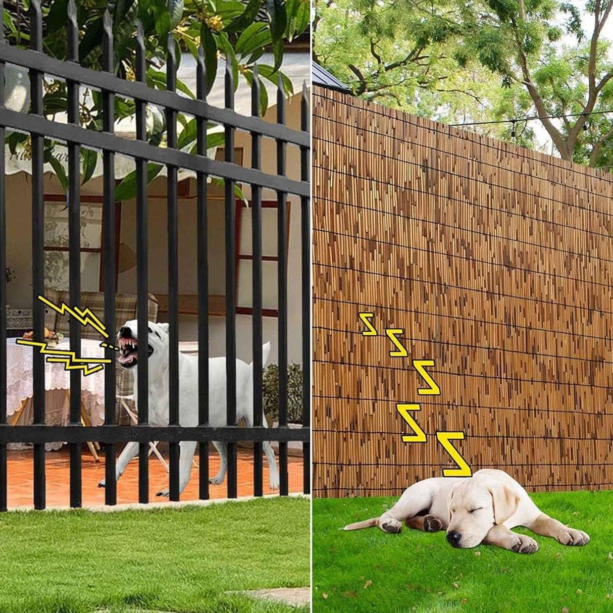 Natural Reed Bamboo Fencing Roll, Bamboo Privacy Screen 4 Feet High X 16.4 Feet Long for Garden Balcony Window Indoor Outdoor(H0.61xL4m/H2xL13ft) VRVTDYDCL