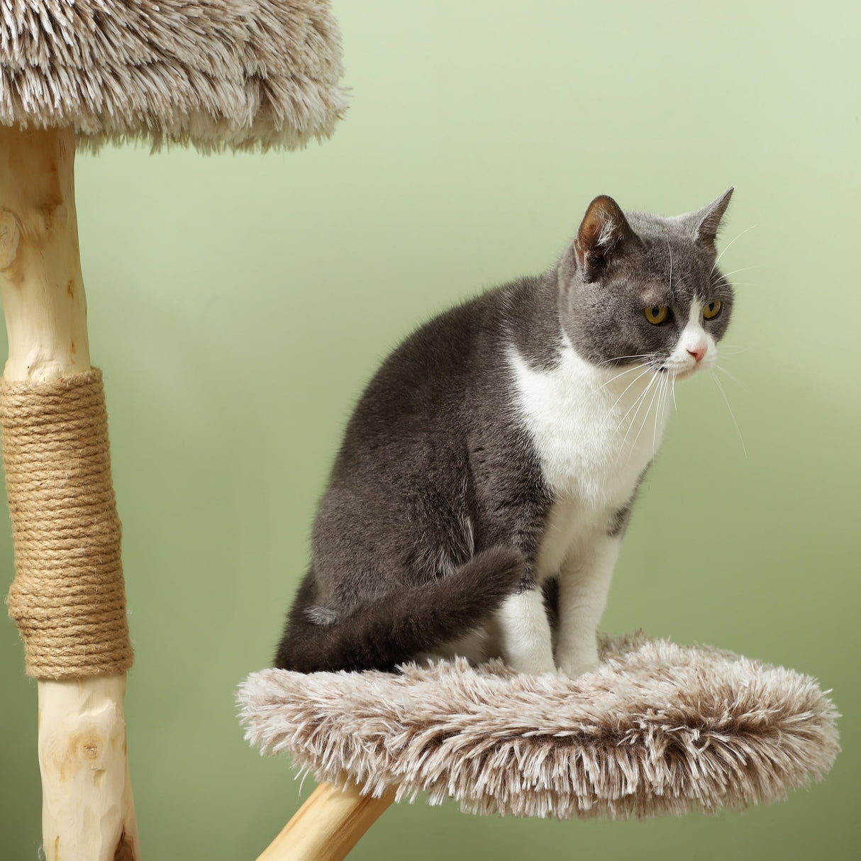 PawHut Cat Tree Tower, 35 Inch Modern Cat Tree for Indoor Adult Cats with Wooden Natural Branch Scratching Posts, Cat Bed & Rope Cat Toy, Brown PawHut