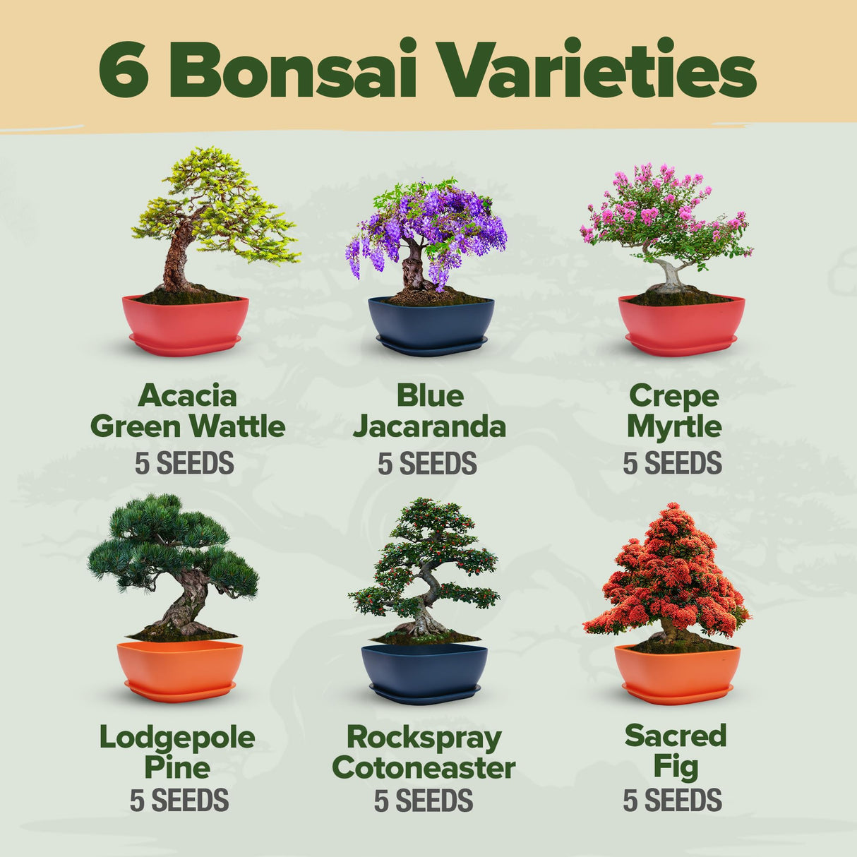 HOME GROWN Bonsai Tree Kit – 6 Heirloom Varieties with Unique Pots – DIY Bonsai Starter Kit for Adults & Beginners – Christmas Gift for Men Women Gardeners Plant Lovers – Indoor Growing Kit HOME GROWN