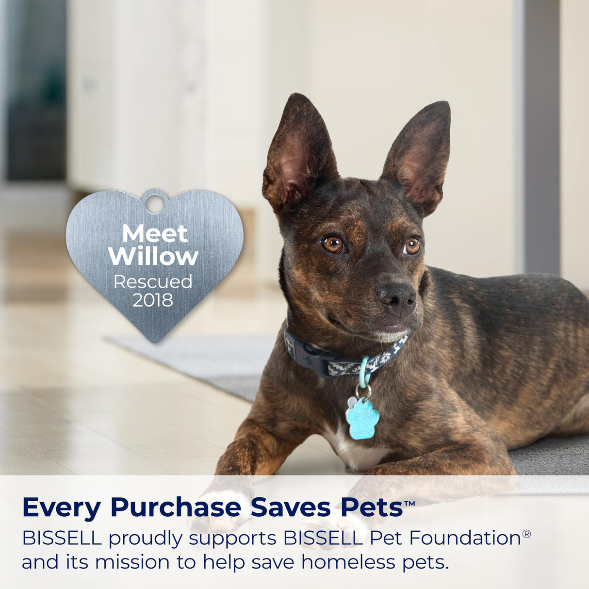 BISSELL Little Green Multi-Purpose Portable Carpet and Upholstery Cleaner, Car and Auto Detailer, with Exclusive Specialty Tools, Green, 1400B Bissell