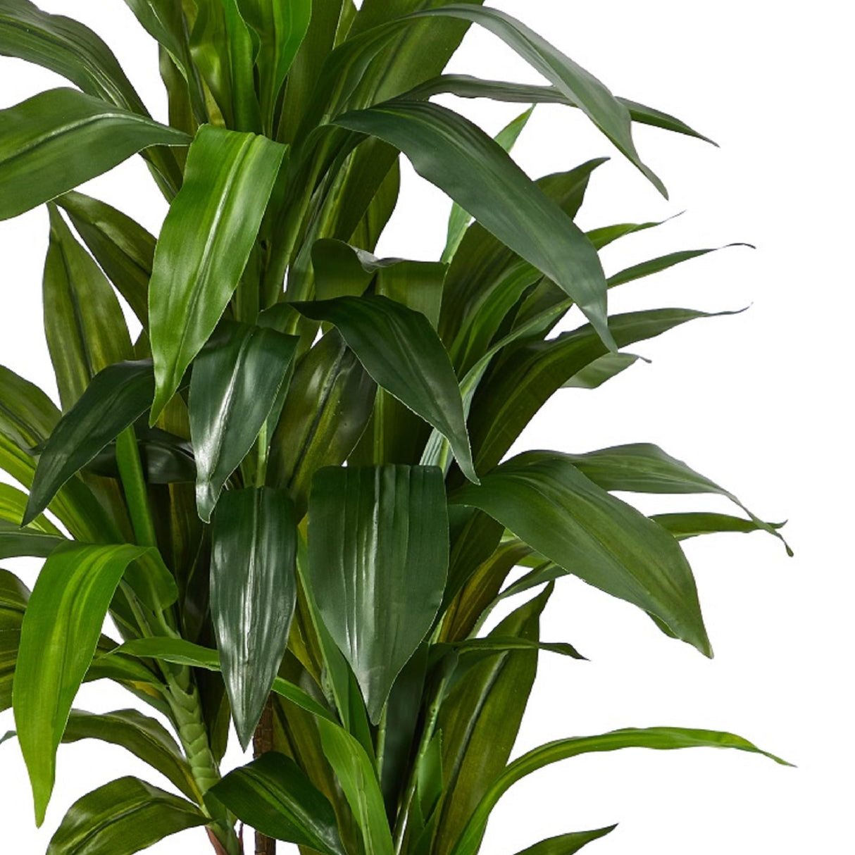 Nearly Natural 48" Dracaena Silk Plant (Real Touch) Green Nearly Natural