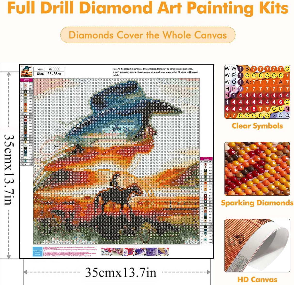 Axquilon Diamond Art Kits for Adults - Cowgirl Diamond Painting Kits for Adults Beginner, DIY 5D Full Drill Horse Gem Art for Home Wall Decor 14x14 inch Axquilon