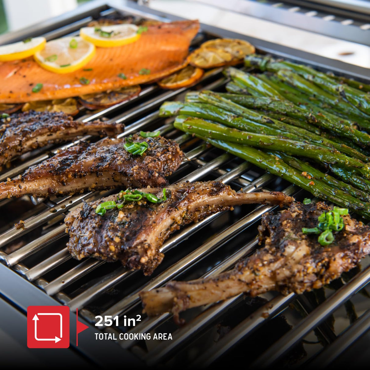 Nexgrill Stainless Steel 2-Burner Portable Gas Grill with Locking Lid, Folding Legs, 20,000 BTUs, 251 SQ In Cooking Space, Tabletop Grill for Camping, Outdoor Cooking, Patios, and More - 820-0007GE Nexgrill