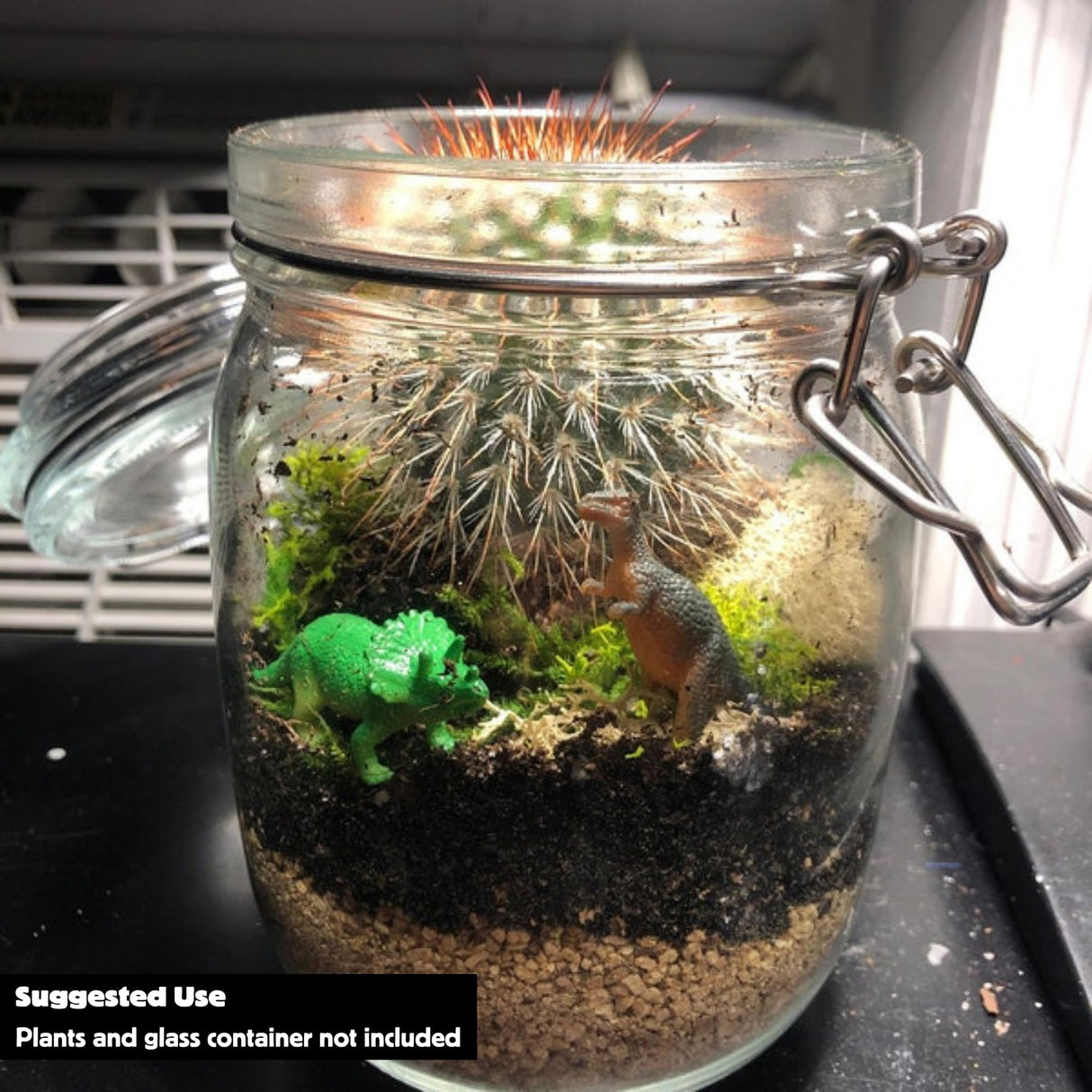 Cute Farms Terrarium Starter Kit | Moss, Vermiculite, Soil, Plant Food, Brush, Build and Care Guide | DIY Succulent Terrarium Kit for Adults and Kids Cute Farms