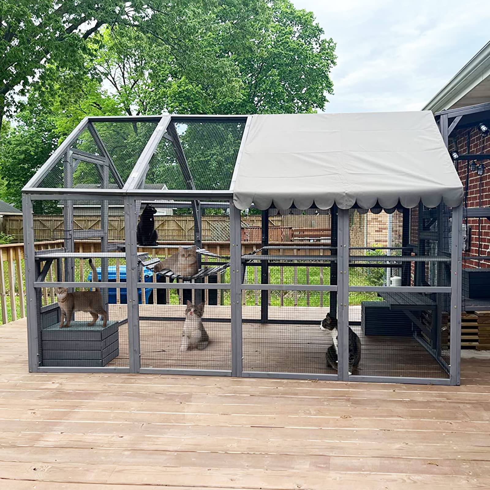 Cat gazebo enclosure hotsell