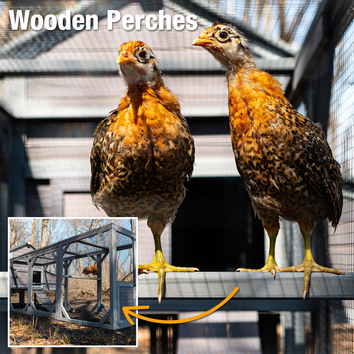 GUTINNEEN Chicken Coop with Run for 8-10 Chickens Extra Large Hen House Poultry Cage Outdoor with Nesting Box GUTINNEEN