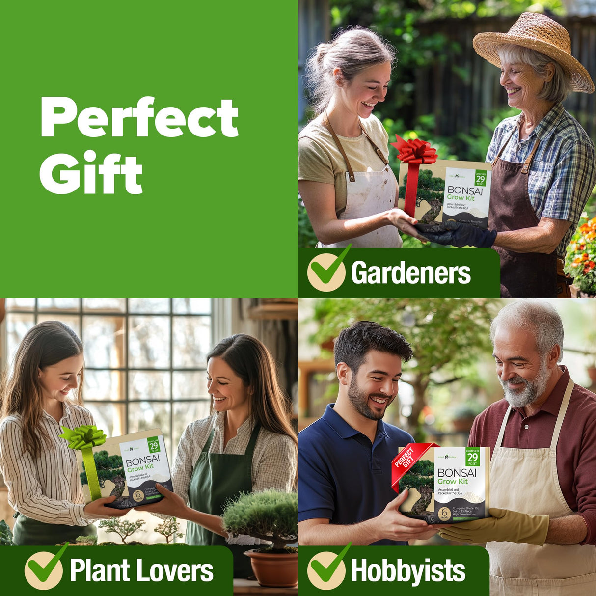 HOME GROWN Bonsai Tree Kit – 6 Heirloom Varieties with Unique Pots – DIY Bonsai Starter Kit for Adults & Beginners – Christmas Gift for Men Women Gardeners Plant Lovers – Indoor Growing Kit HOME GROWN