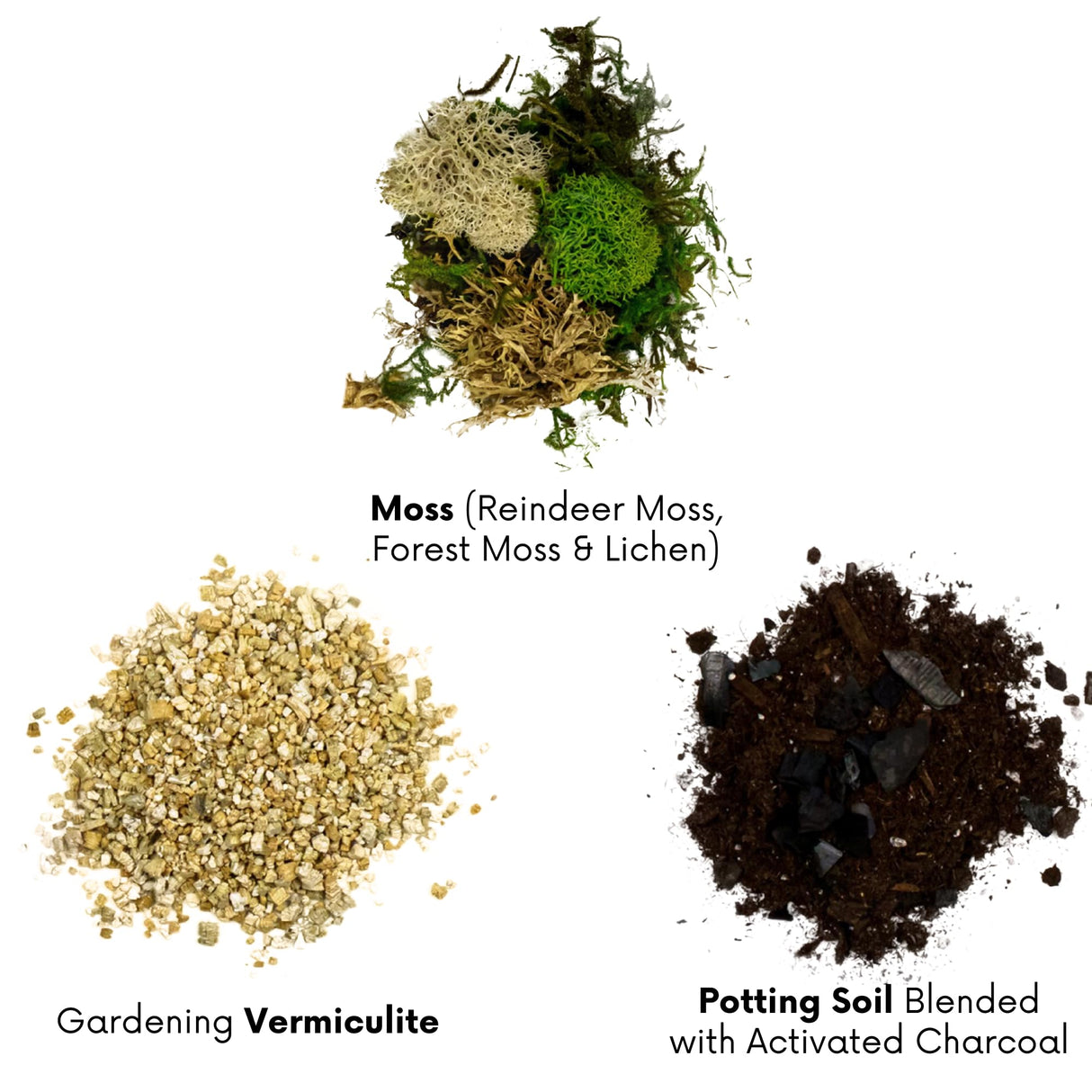 Cute Farms Terrarium Starter Kit | Moss, Vermiculite, Soil, Plant Food, Brush, Build and Care Guide | DIY Succulent Terrarium Kit for Adults and Kids Cute Farms