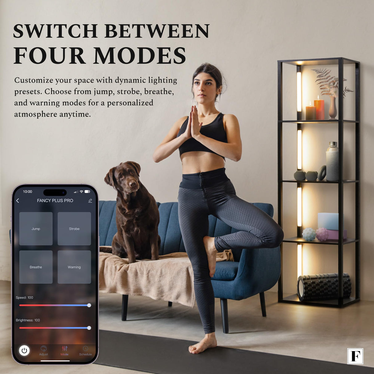 FENLO Fancy - LED Display Shelf with Dimmable Lights, LED Shelf Floor Lamps for Living Room, Sturdy Corner Shelf Curio Cabinet Display, Tall Floor Lamps with Shelves FENLO