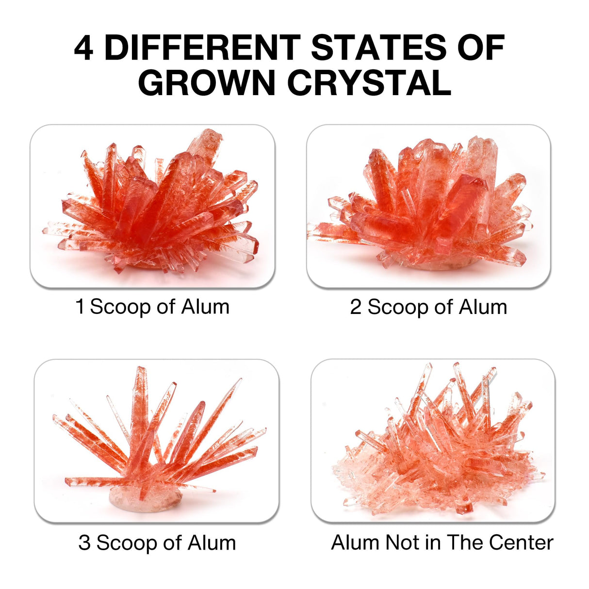 BenBen Crystal Growing Kit for Kids, Grow 6 Crystals with Light Up Display Stand, Educational STEM Toys for Girls and Boys, Science Kit for Kids Age 8-14, Birthday Gifts Science Experiments BenBen