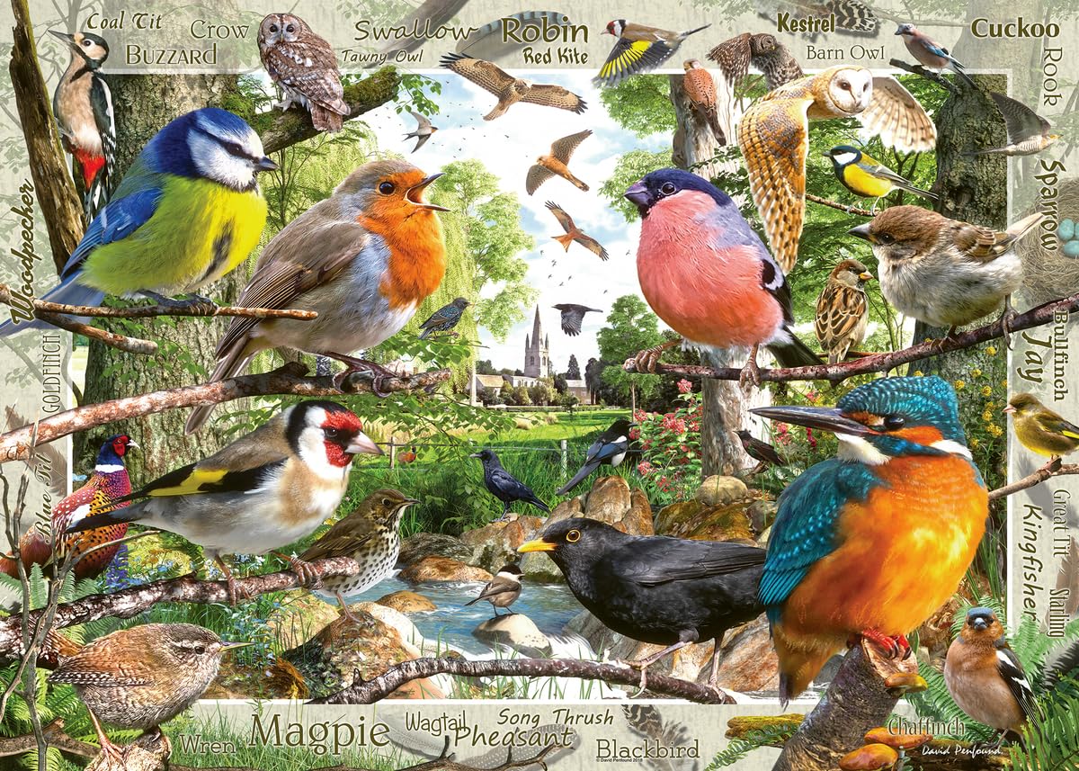 Ravensburger Our Feathered Friends 1000 Piece Jigsaw Puzzle for Adults | Unique, Pieces | Anti-Glare Surface | FSC Certified, Eco-Friendly | Amazon Exclusive Ravensburger