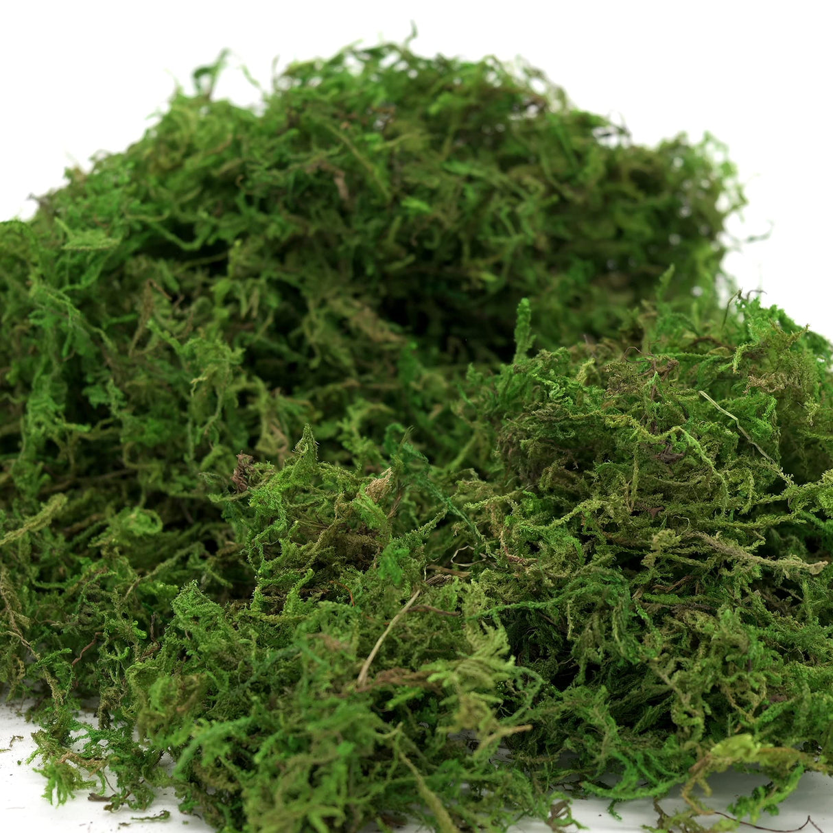 USMOLA Artificial Moss, 16OZ Fake Moss for Crafts, Decorative Centerpieces, Fairy Garden, Wedding Party Decor, Faux Potted Plants, 455gr (Fresh Green) USMOLA