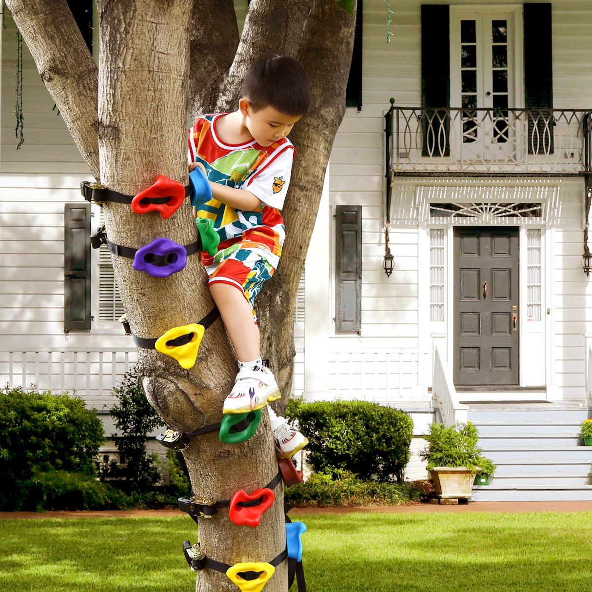 TOPNEW 12 Ninja Tree Climbing Holds for Tree Climber, Tree Climbing Kit with 6.6FT Rope Ladder for Outdoor Ninja Warrior Obstacle Course Training TOPNEW