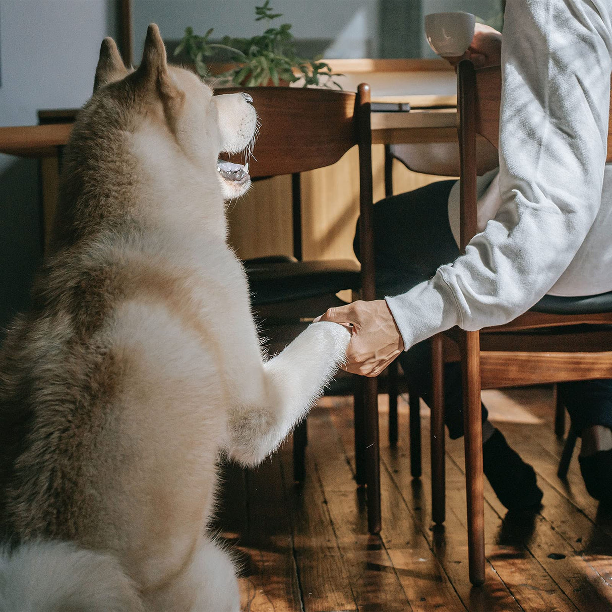 ISHINE Personalized Dog Figurines, Unique Handmade Wooden Sculpture Dog and Man, Gift for Boy Father Husband, Wood Decor Natural ECO Friendly ISHINE