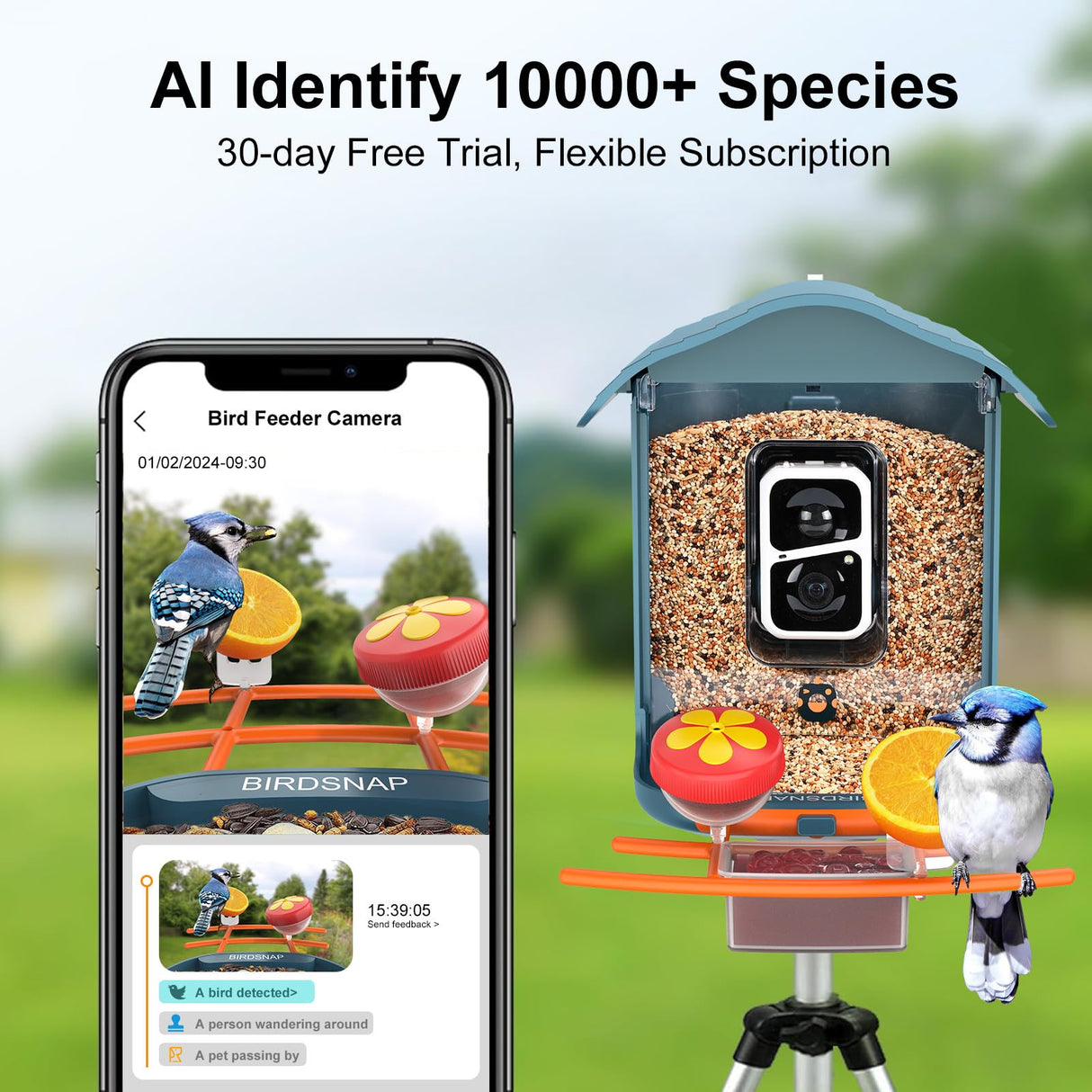 Smart Bird Feeder with Camera, 5 DIY Add-ons & 64G SD Card Auto Record Bird Video Bird House for Outside, AI Identify Bird Species Auto Capture with birdsnap