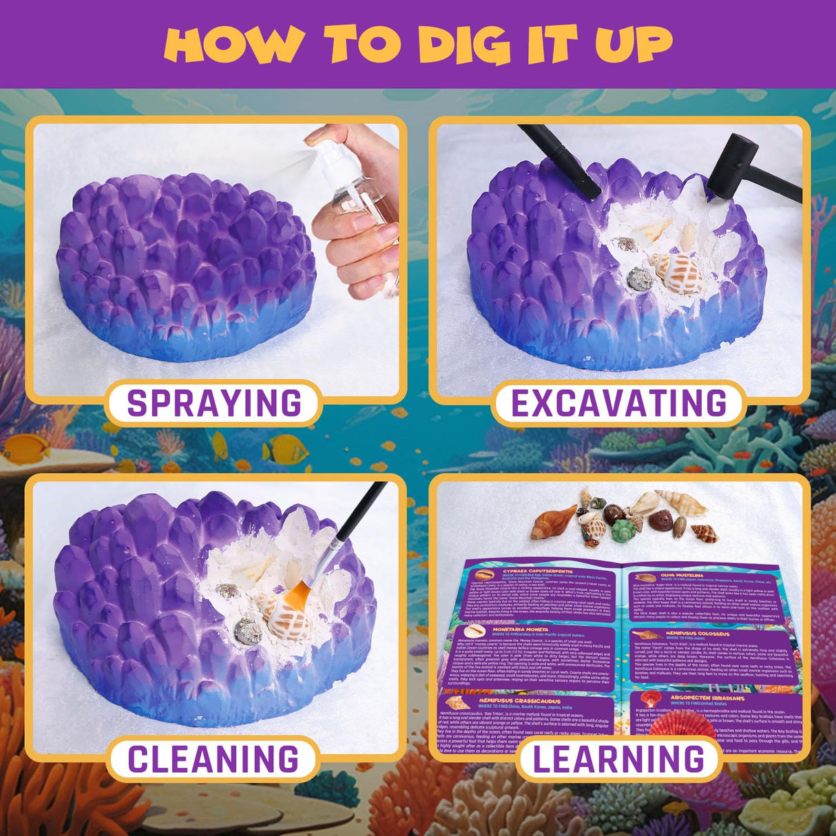 PIBEX Ocean Fossil Dig Kit, Dig up 20+ Real Shells & Seasnails, STEM Educational Activity Set Sea Creatures Excavation Toy for Kids, Marine Biology Geology Science Kit, Gift for Boys and Girls Age 6+ PIBEX