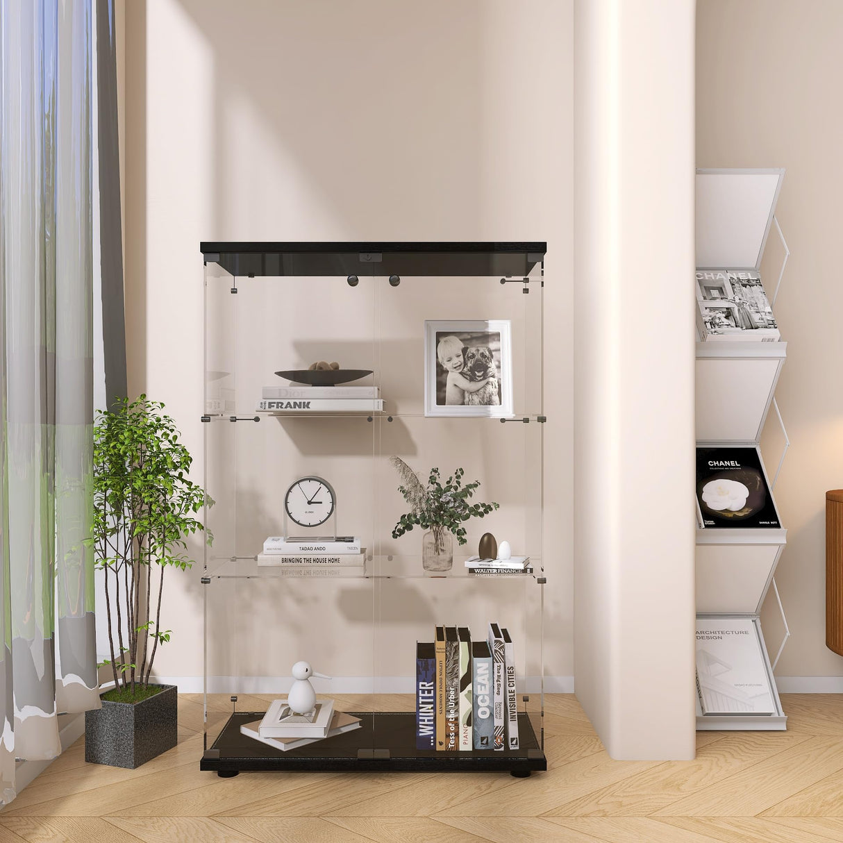 Zacis Modern 3 Shelf Glass Display Cabinet with 2 Doors, Clear Curio Cabinet Collection Display Case, Floor Standing Glass Bookshelf for Living Room Bedroom Home Office 32" W x 14.5" D x 50" H Zacis