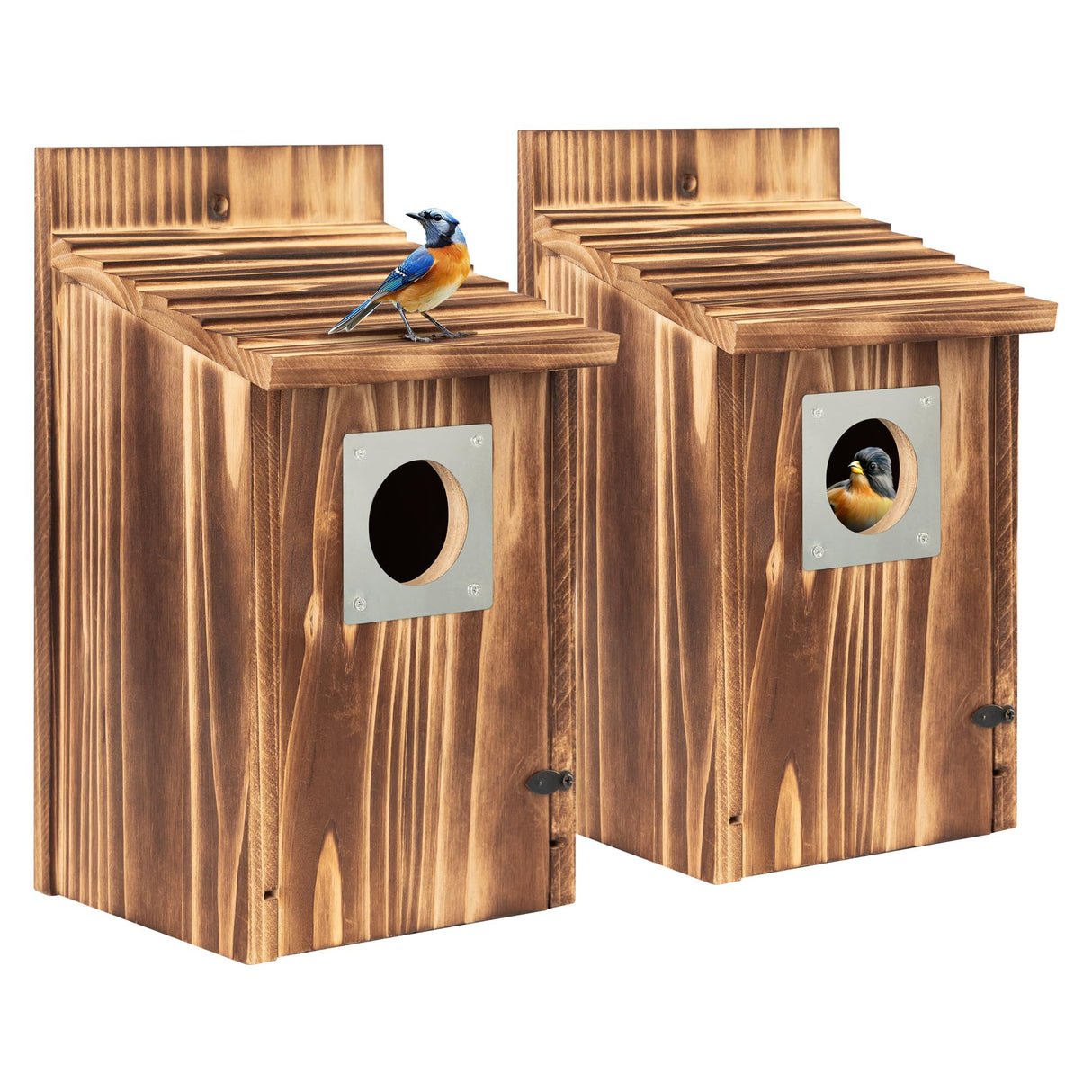 2 Pack Bird Houses for Outside with Metal Predator Guard for Bluebird Wren Swallow Finch, Carbonized Wooden Nesting Boxes for Outdoor, Sturdy Bird House,Easy to Clean UUMENHA
