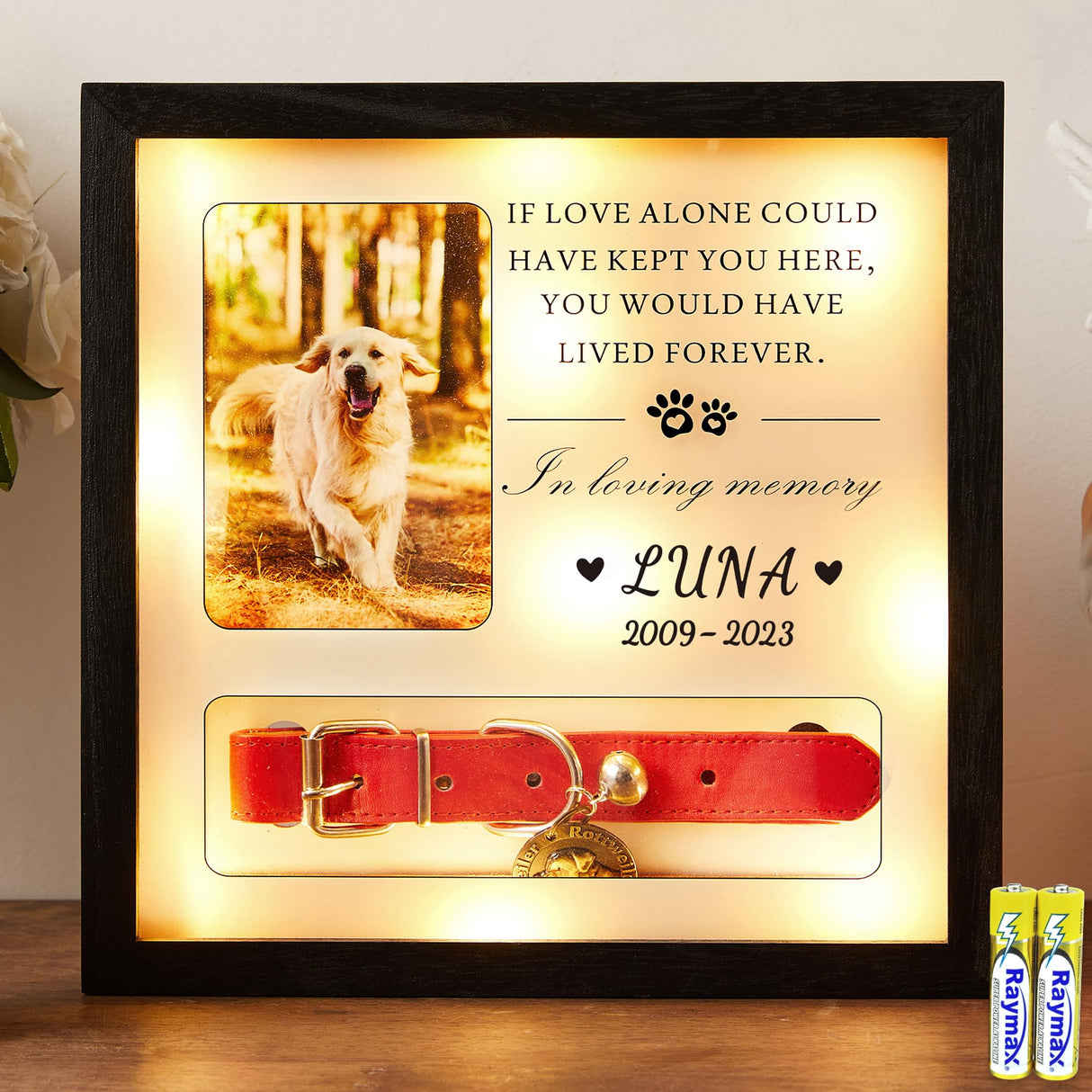 Pet Memorial Picture Frame Dog Collar Shadow Box 10"x10", Sympathy Remembrance Gift Keepsake for Loss of Dog or Cat, for Medium or Small Size Collars HKBS