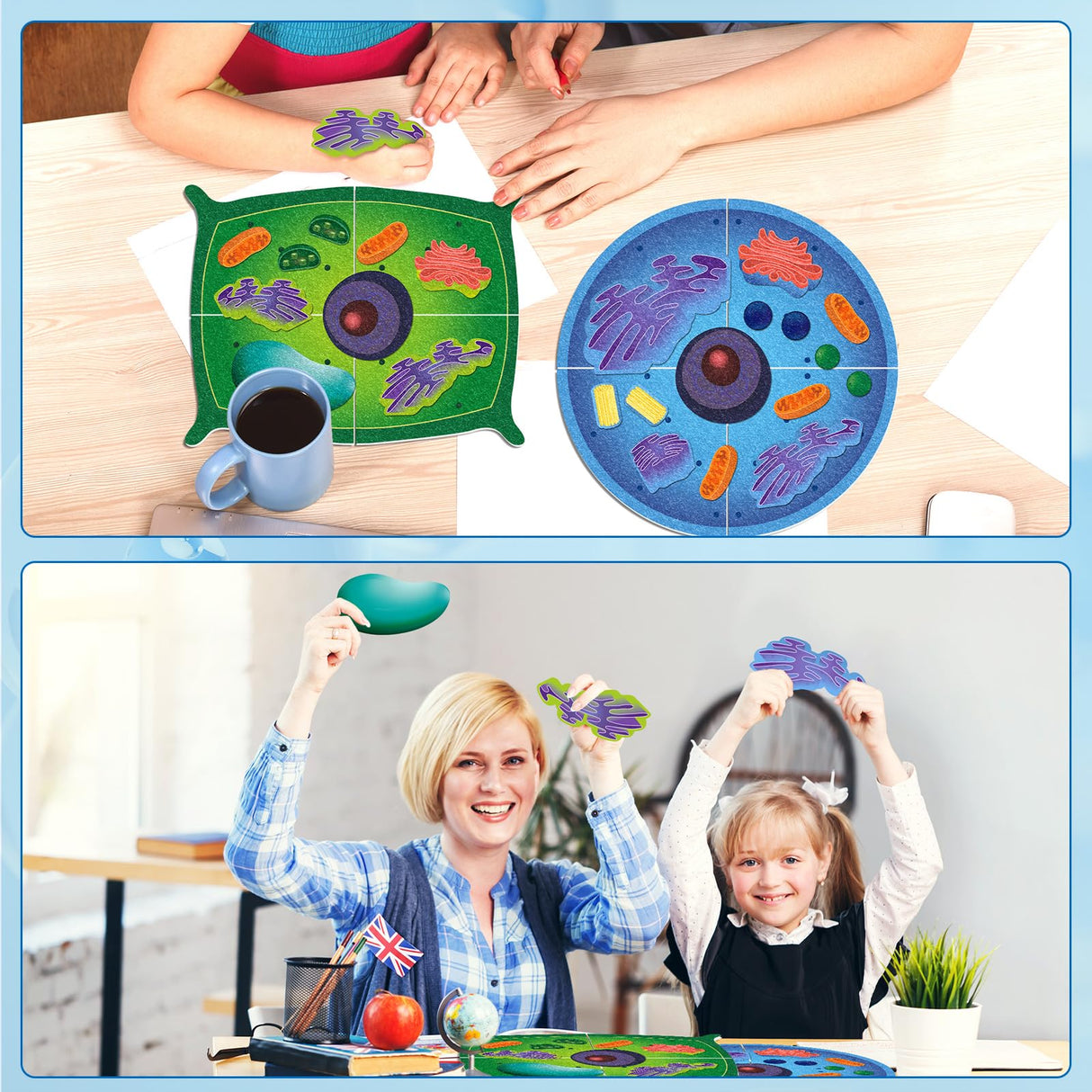 VercanMonth 2 Set Giant Felt Animal and Plant Cell Anatomy Model Kits Early Biology Cell Model Life Science Toys Animal Plant Bacteria Science Kit for Boys Girls Classroom Educational Learning VercanMonth