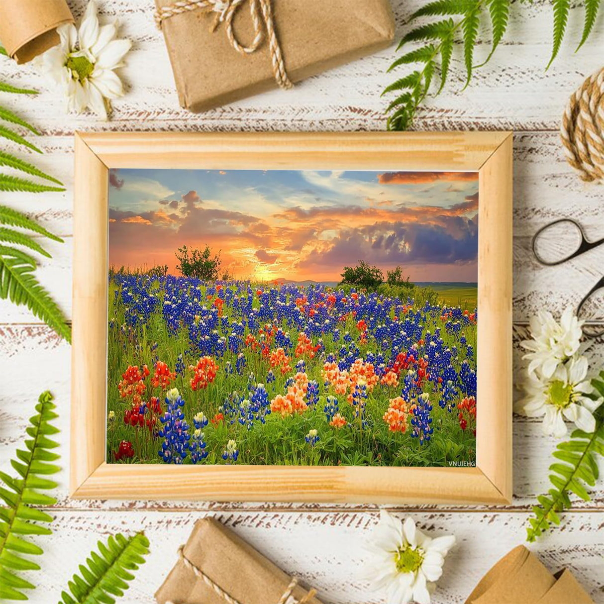 VNUIEHG Paint by Numbers Kit for Adults Texas Bluebonnets Wildflower Field Blooming Spring Sunset 16x20in DIY Color by Numbers Acrylic Paint No Framed Canvas Painting Kits for Beginner VNUIEHG